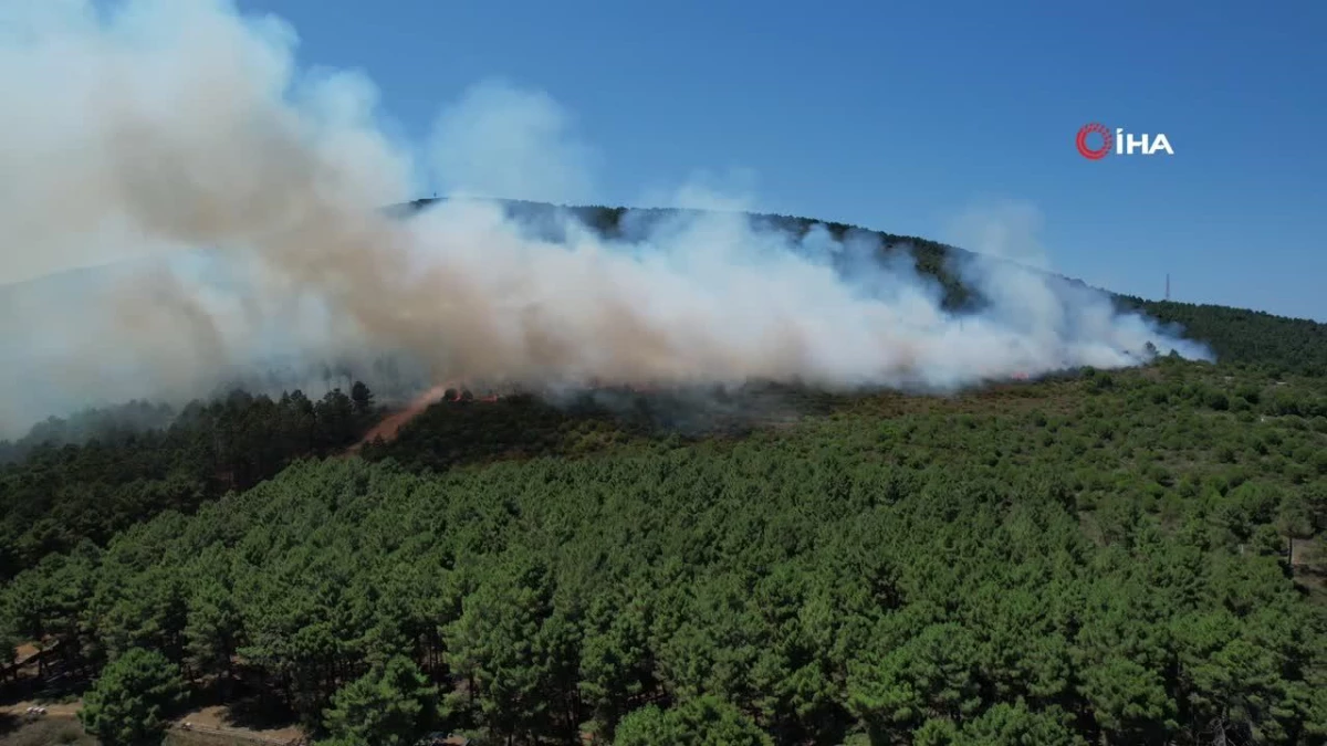Pendik Aydos Ormanı’ndaki yangın dron ile görüntülendi