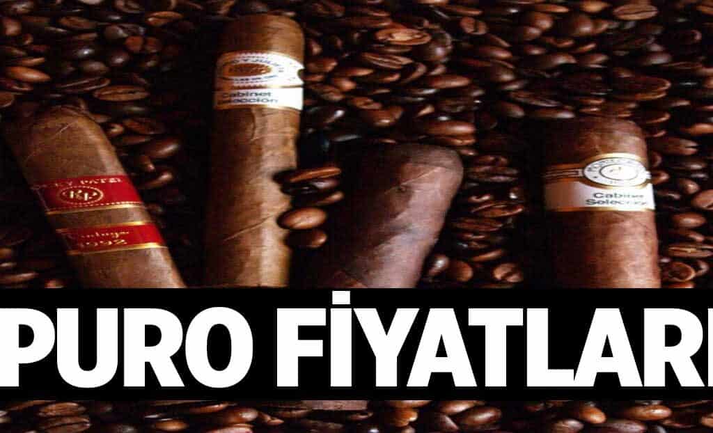 Puro Fiyatlari 1024x622Kpu.jpg