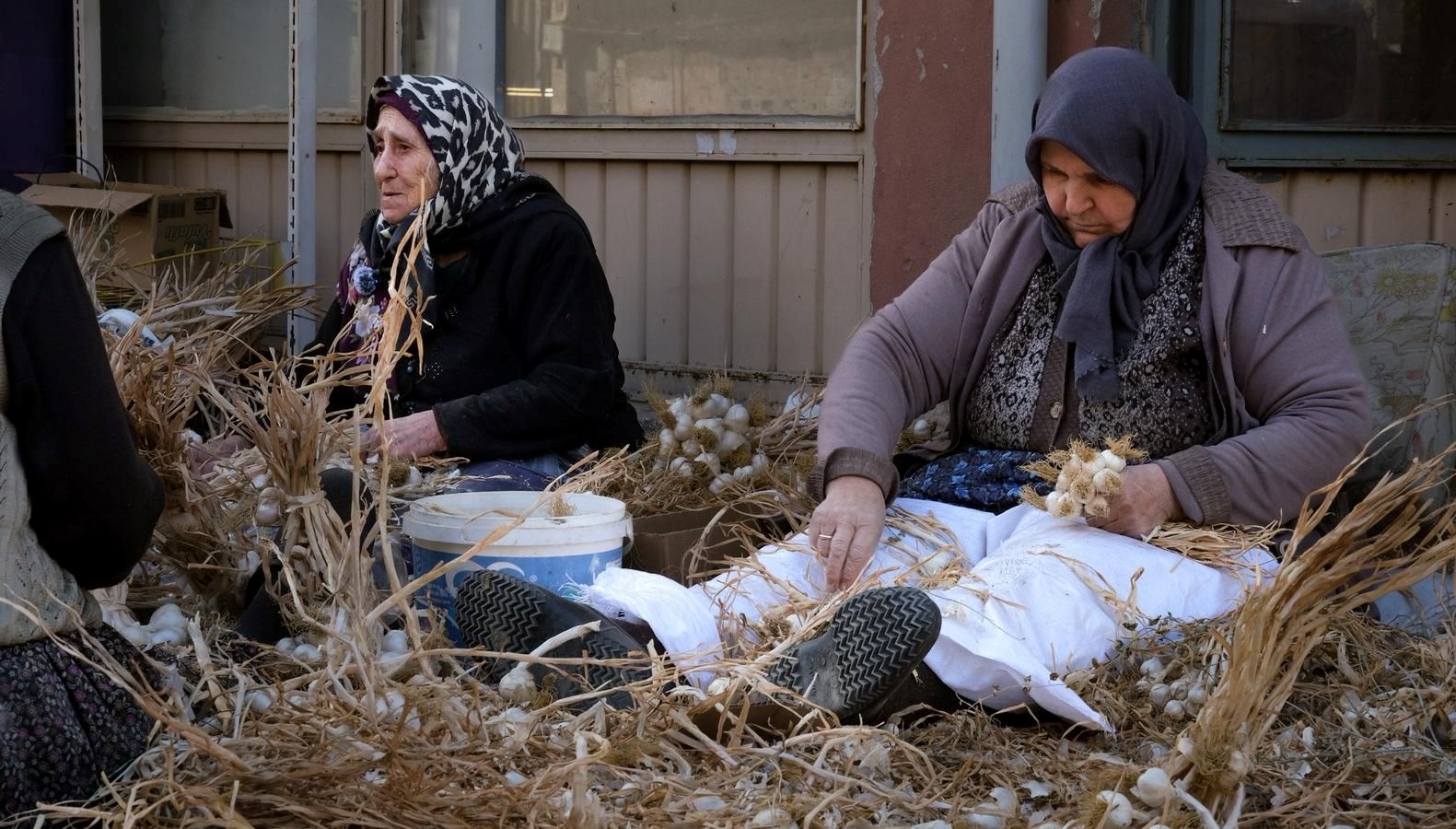 beyaz altin olarak biliniyor hasat sonrasi yogun mesai grZLw4qV.jpg
