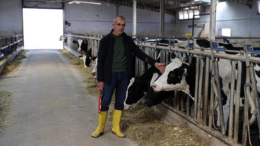 devlet destegiyle kurdu gunluk 1 ton sut elde ediyor 2NPm5EnZ.jpg